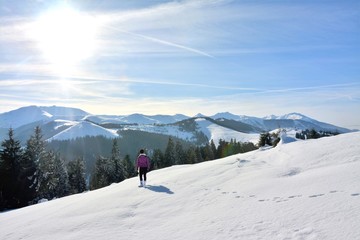 Fototapeta na wymiar landscape with Rodna mountains in winter