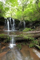 Naklejka premium 猿壺の滝