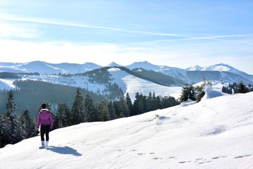 Fototapeta na wymiar winter landscape in Prislop Pass