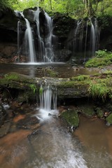 Obraz premium Wodospad małpy