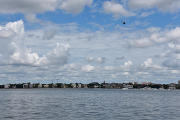 Charleston Harbor