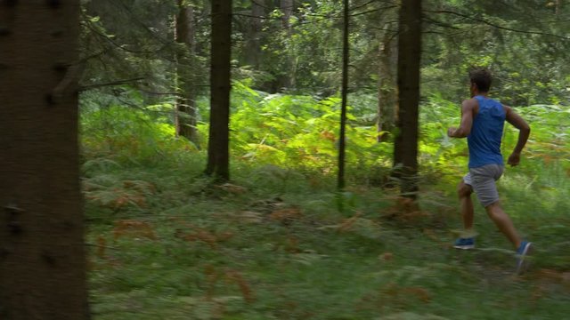 Male athlete sprinting during a trail running race through the tranquil forest. Cinematic shot of a young Caucasian man going for a relaxing jog through the idyllic woods on a warm spring afternoon.