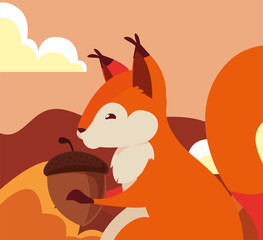 squirrel acorn happy autumn season flat design