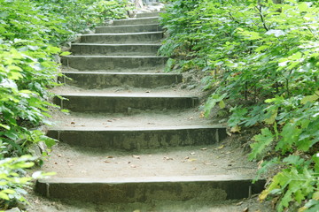 CAMINO DE ESCALERAS ASCENDENTES EN MEDIO DEL PARQUE, escalera, camino, escalones, bosque,...