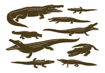 Set of Crocodile Logo Vector. Alligator emblem template Illustration