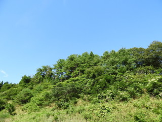 夏の里山風景