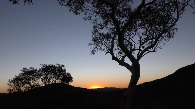 Panoramic view of sunset in outback Australia, with gum trees, bushland, mountains and orange red sky as background.