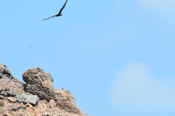 pedra furada 