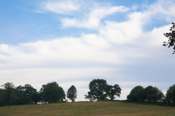Wide blue sky with white clouds and lower border of trees and grass