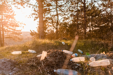 A heap of garbage in the forest.
