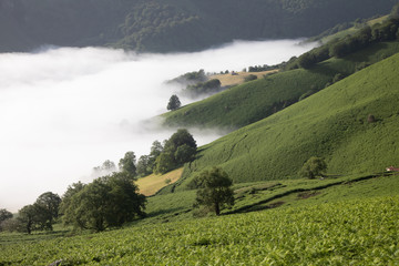 View over Pyernees during mist and sun