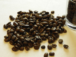coffee beans on white background