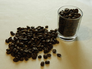 coffee beans in cup
