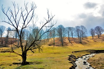 landscape with a creek, trees and clouds in early spring
