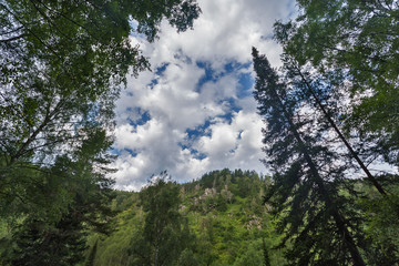 landscape in mountains