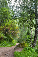 Obraz premium road through the forest to the mountains