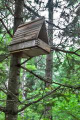 birdhouse on tree