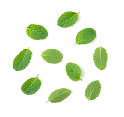 Fresh mint leaves pattern isolated on white background, top view