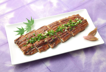 うなぎの蒲焼き　