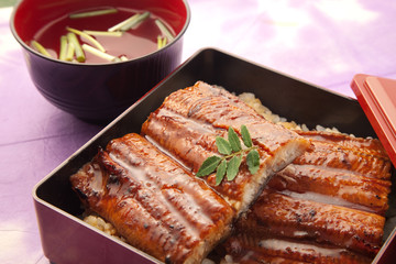 うなぎの蒲焼き　