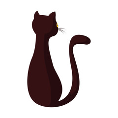 black cat happy halloween celebration design