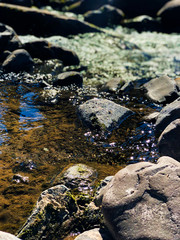 water flowing over rocks