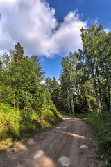 Fototapeta na wymiar road through the forest to the mountains