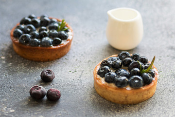 Delicious blueberry tartlets with vanilla custard cream on gray background. Front view. 
