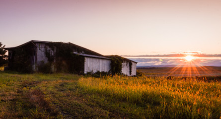 Warm summer sunset over a humble farm and shanty in the Black Dirt region of Pine Island, New York