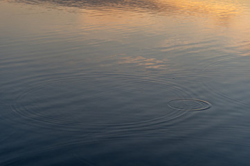 Rippling Water at Twilight