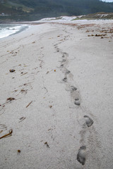 Single track of footprints through the sand