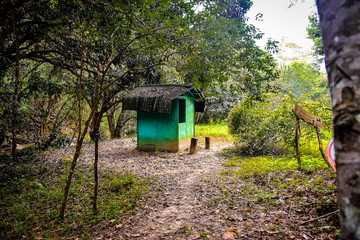 Fototapeta na wymiar small house in the forest, xingu, village, tourism in brazil, brazilian landscape, adventure tourism, indigenous village