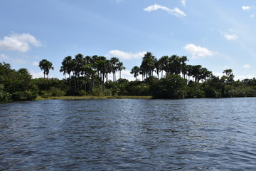 rio preguissas