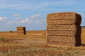 Stacked large rectangular hay bales placed on field after harvest, blue skies with some clouds in background © zayacsk