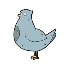 digitally drawn illustration pigeon design. hand drawing style
