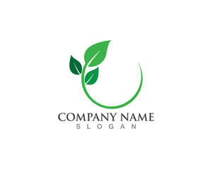 Vector leaves green nature logo and symbol