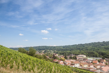 Fototapeta na wymiar Panorama of Saint Savin, small French village of Isere, in the Dauphine province, with medieval catholic church & other historic building seen from the vineyards of the village 