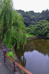 Fototapeta premium Traditional Japanese gardens in public parks in Tokyo, Japan. Views of stone lanterns, lakes, ponds, bonsai and wildlife walking around paths and trails. Asia. 