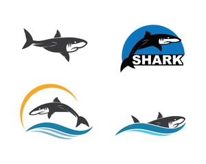 shark icon vector illustration design