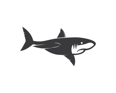shark icon vector illustration design
