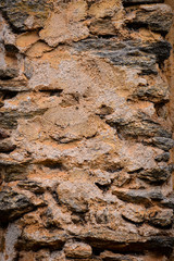 wood texture and old wall
