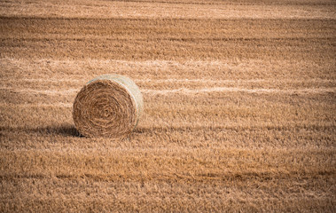 Minimal hay bale in golden field background © Kellee Kovalsky