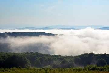 morning fog between the hills