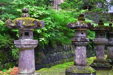 Traditional Japanese gardens in public parks in Tokyo, Japan. Views of stone lanterns, lakes, ponds, bonsai and wildlife walking around paths and trails. Asia. 