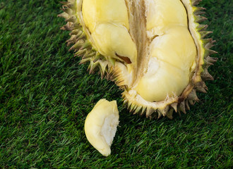 Durian fruit Famous fruits from Thailand 