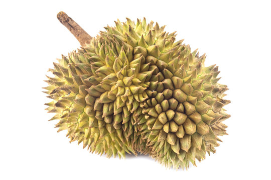 Durian fruit Famous fruits from Thailand 