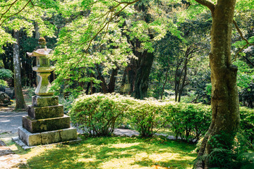 Godaisan mountain Chikurin-ji temple, Shikoku pilgrimage in Kochi, Shikoku, Japan