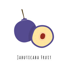Jabuticaba fruit flat vector illustration