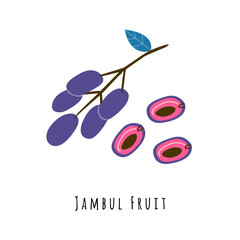 Jambul fruit flat vector illustration