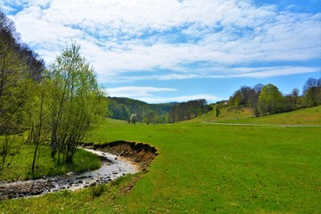 Fototapeta na wymiar a creek on a green field